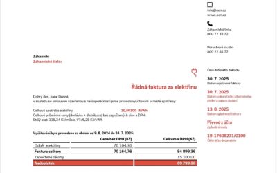 Vyúčtování elektřiny – profesionální rozbor